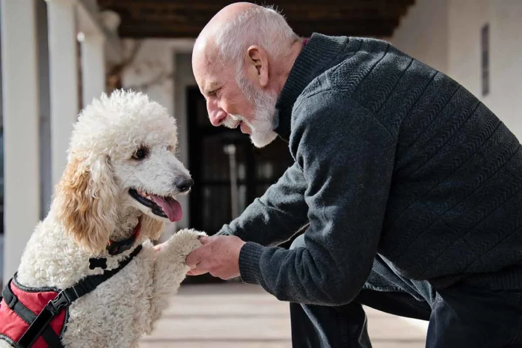 service dog and owner