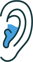 Ear Fluid