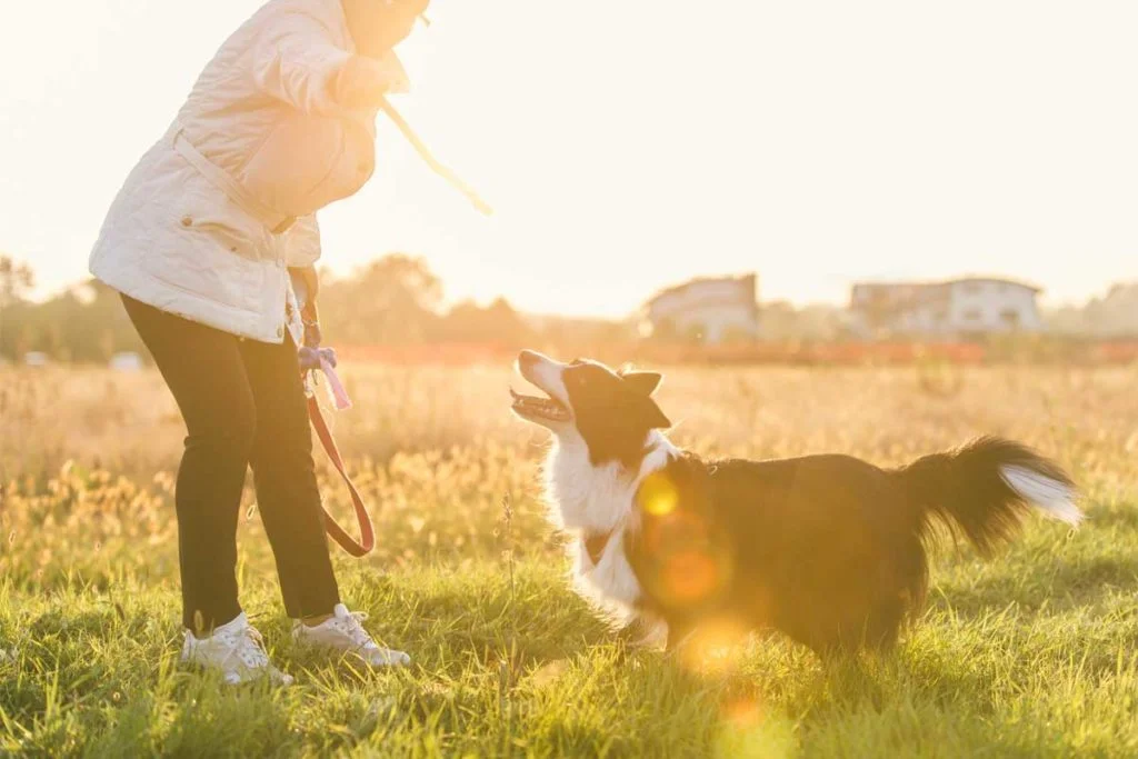 Woman playing with dog