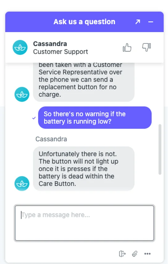 customer support chat