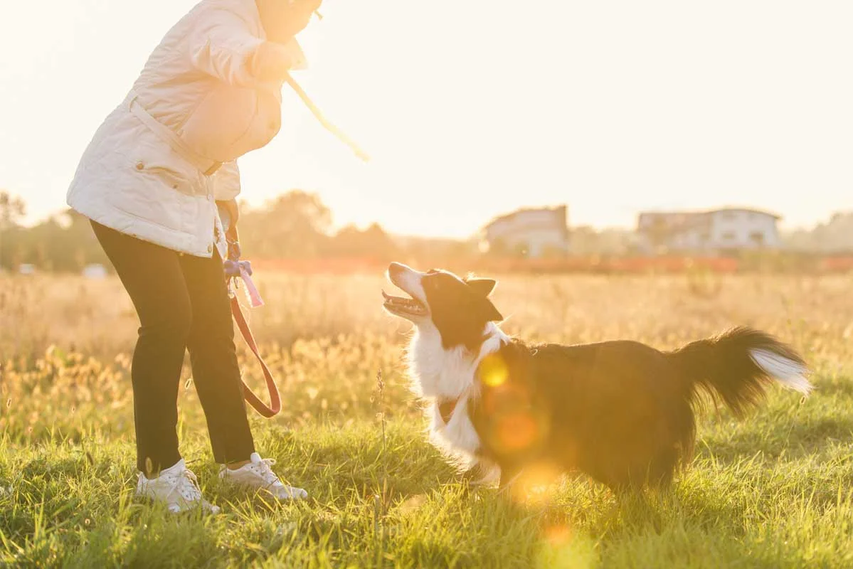 Woman playing with dog