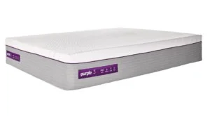 Purple Hybrid Premier 3