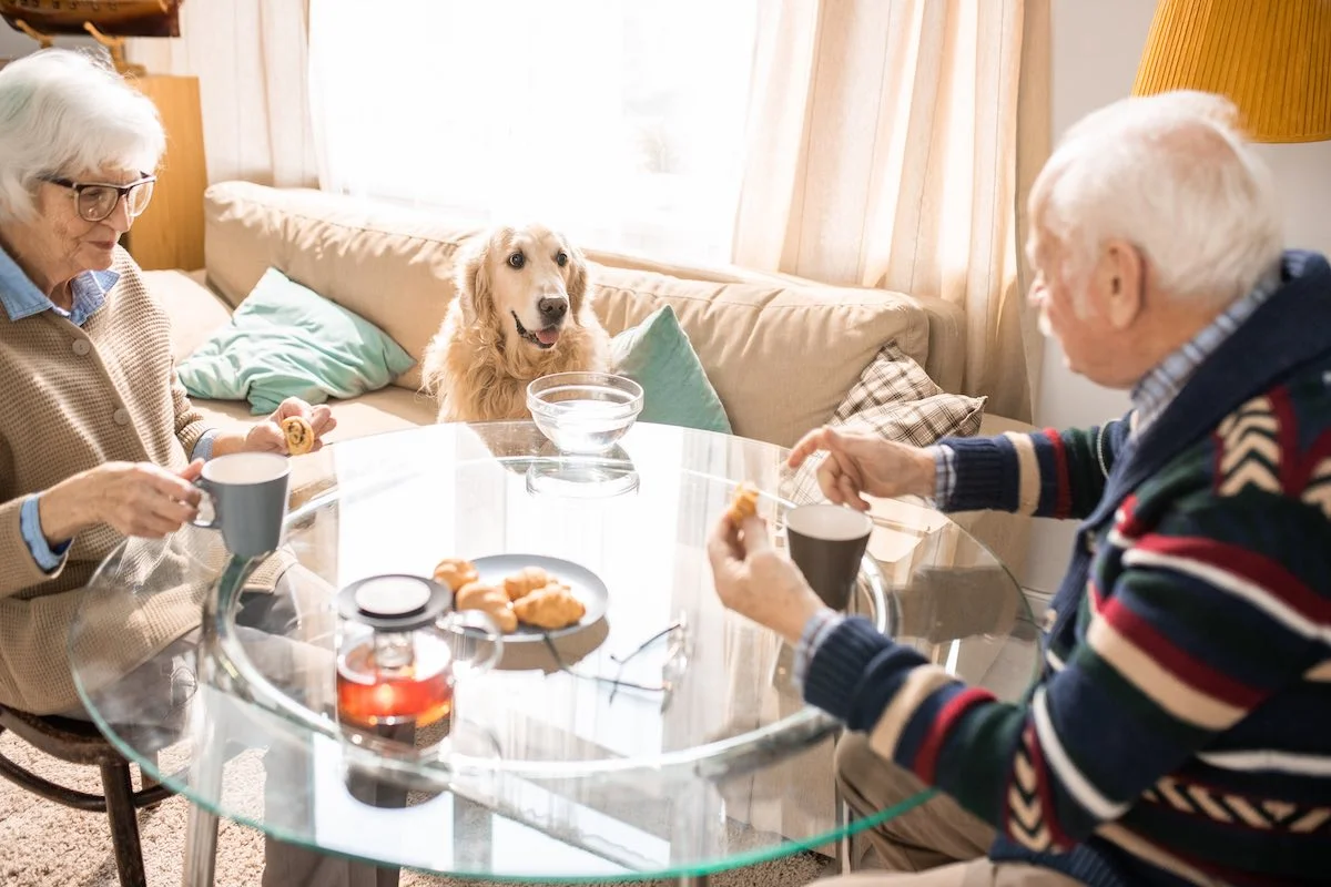 Older adults interacting with their pet