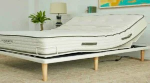Avocado Eco Plus Adjustable Bed Frame