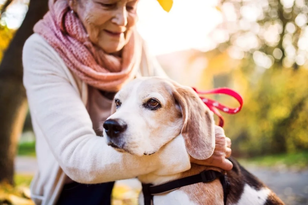 an elderly woman with dog
